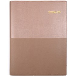 Collins Vanessa Financial Year Diary A4 1 Day to a Page 30min Champagne