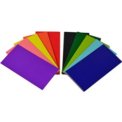 FLASH CARDS PK 100 203x103 COLOURED