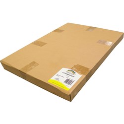 CARTRIDGE 110gsm A2 RDCA2250