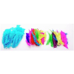 JASART FEATHERS SMALL Astd Colours Pk 50