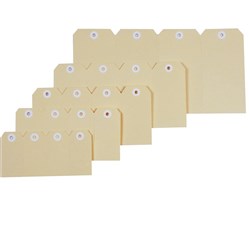 ESSELTE SHIPPING TAGS No.8 80x160mm Box of 1000